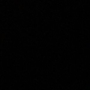 Meet your Posher, Joey